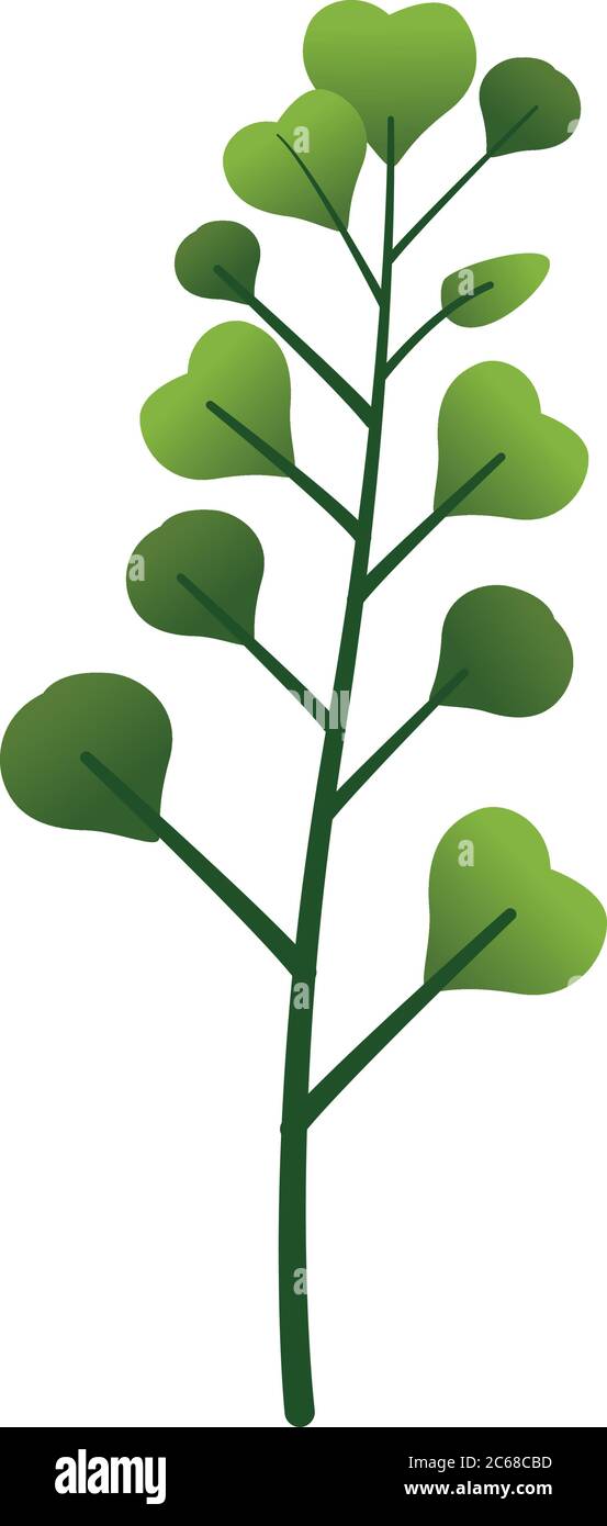 branch with leafs plant nature icon vector illustration design Stock ...