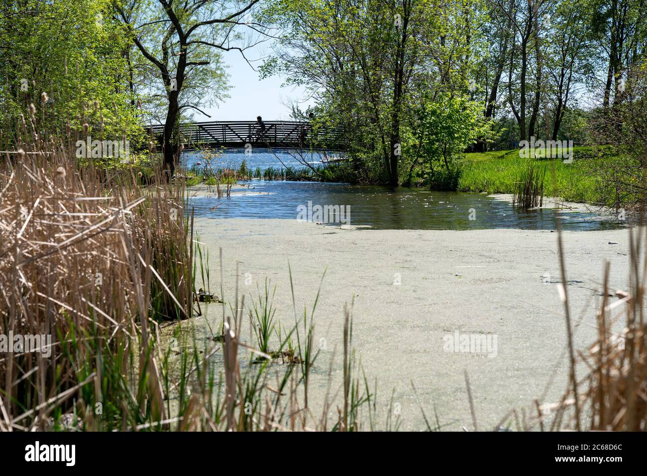 Clifton French Regional Park in Plymouth, Minnesota, with bikers biking over a footbridge over a swamp Stock Photo