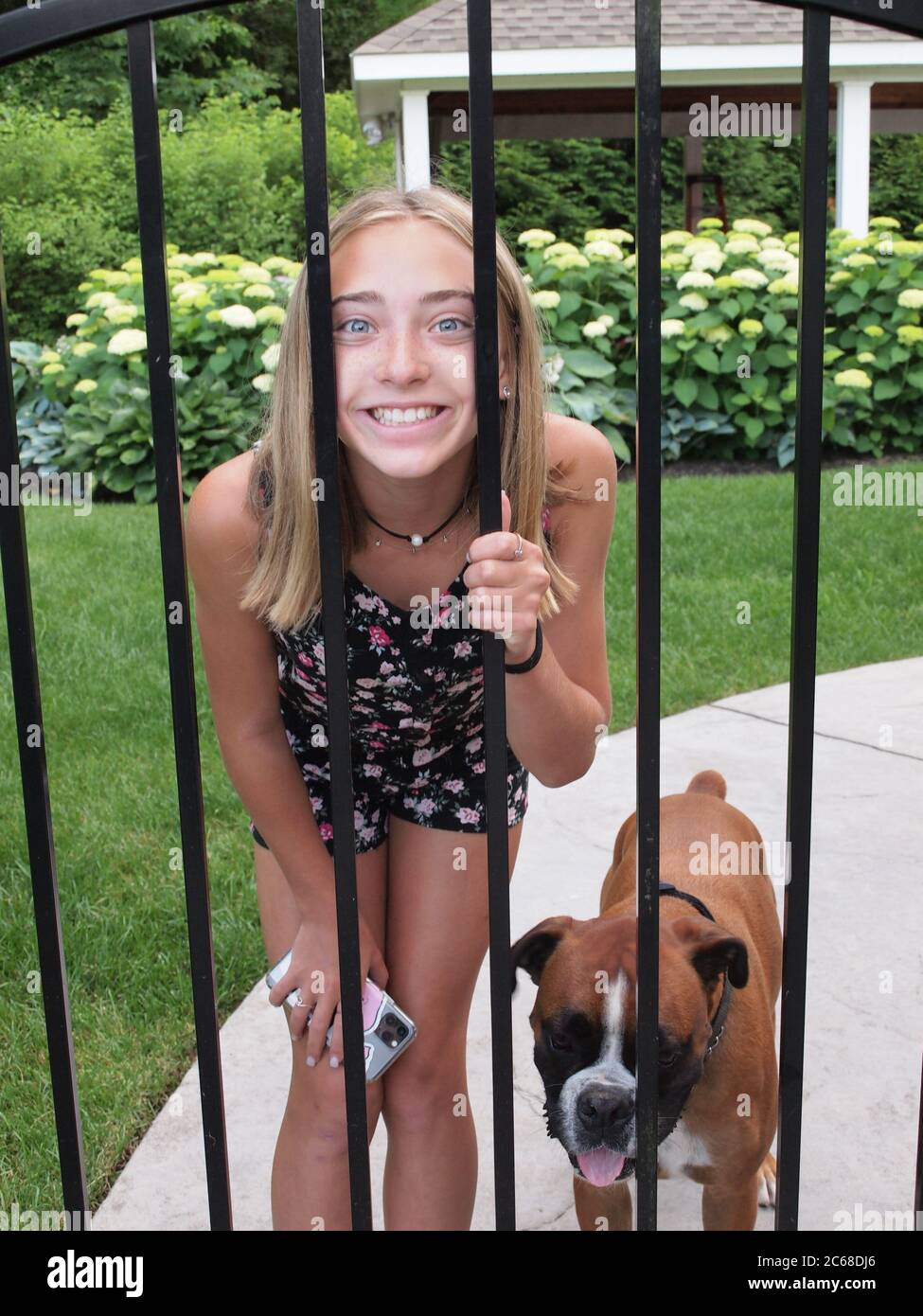 Dog peeking through fence hires stock photography and images Alamy