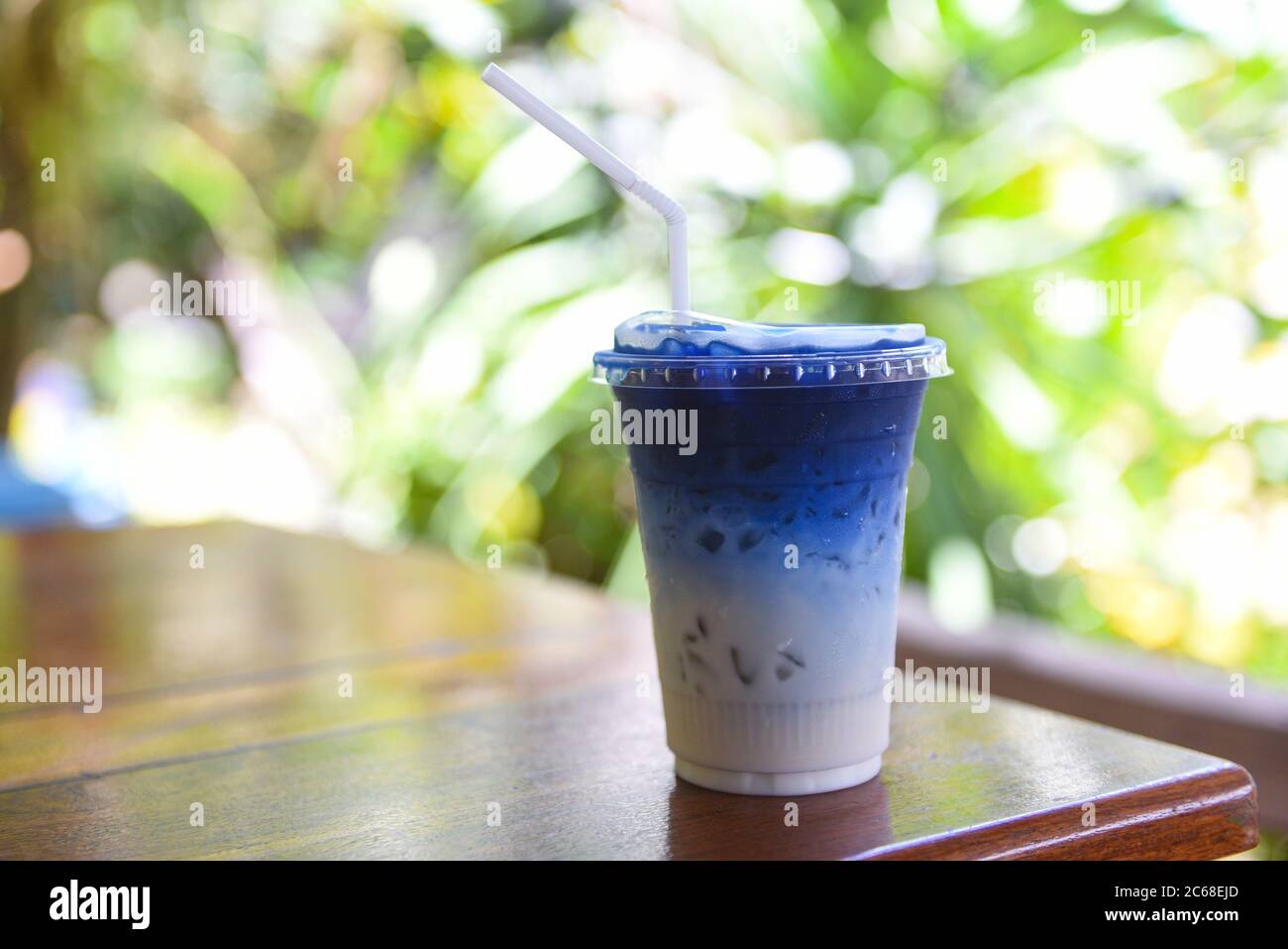 Butterfly pea juice or blue pea flower herbal tea with milk for drink on wooden background Stock