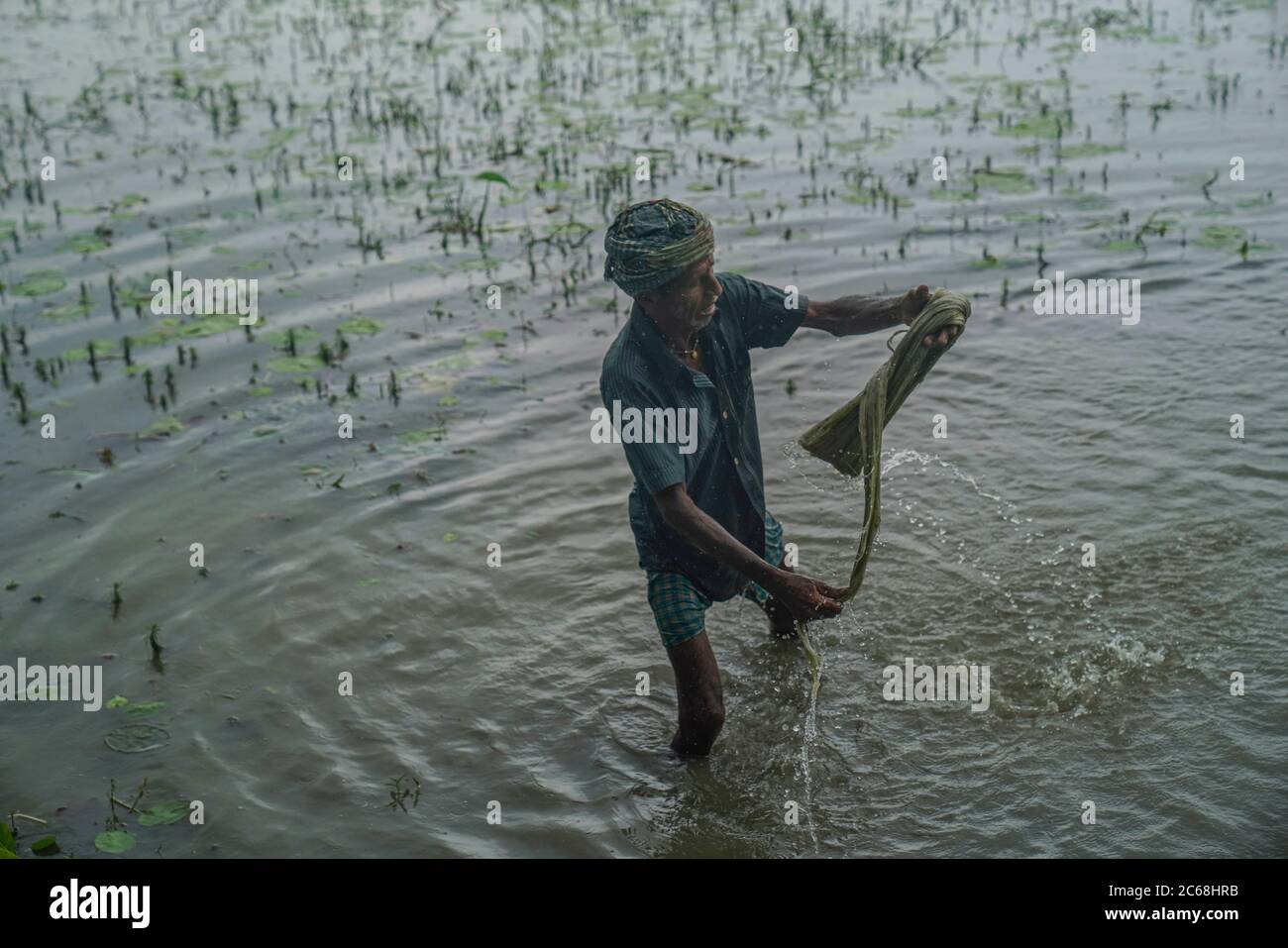 Jute washing hi-res stock photography and images - Alamy