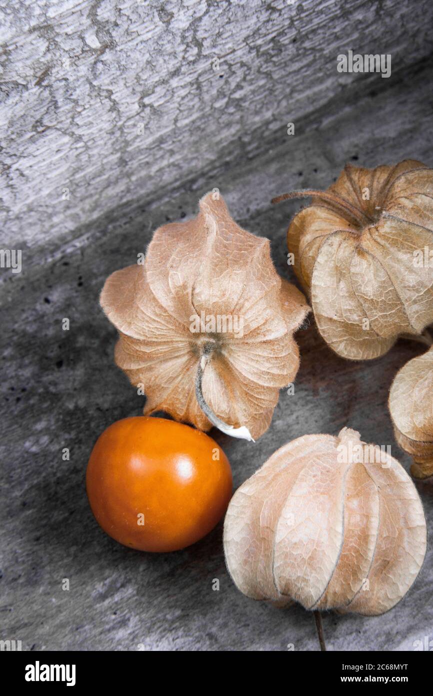 A ceramic bowl full of tiny Chinese lantern fruits and blooms. Stock Photo
