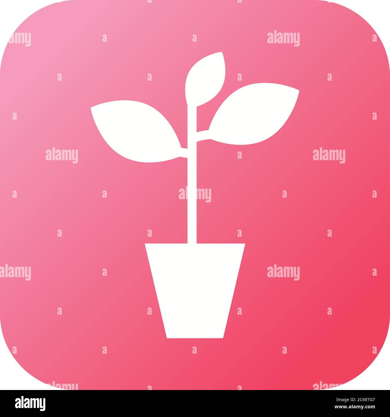 Unique Plant Vector Glyph Icon Stock Vector Image & Art - Alamy