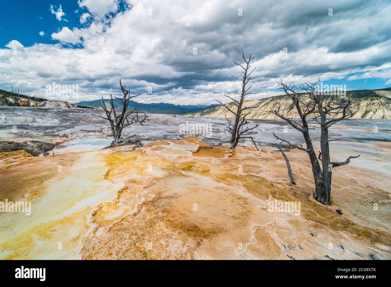 The mammoth hot spring in Yellowstone National Park, Wyoming Stock