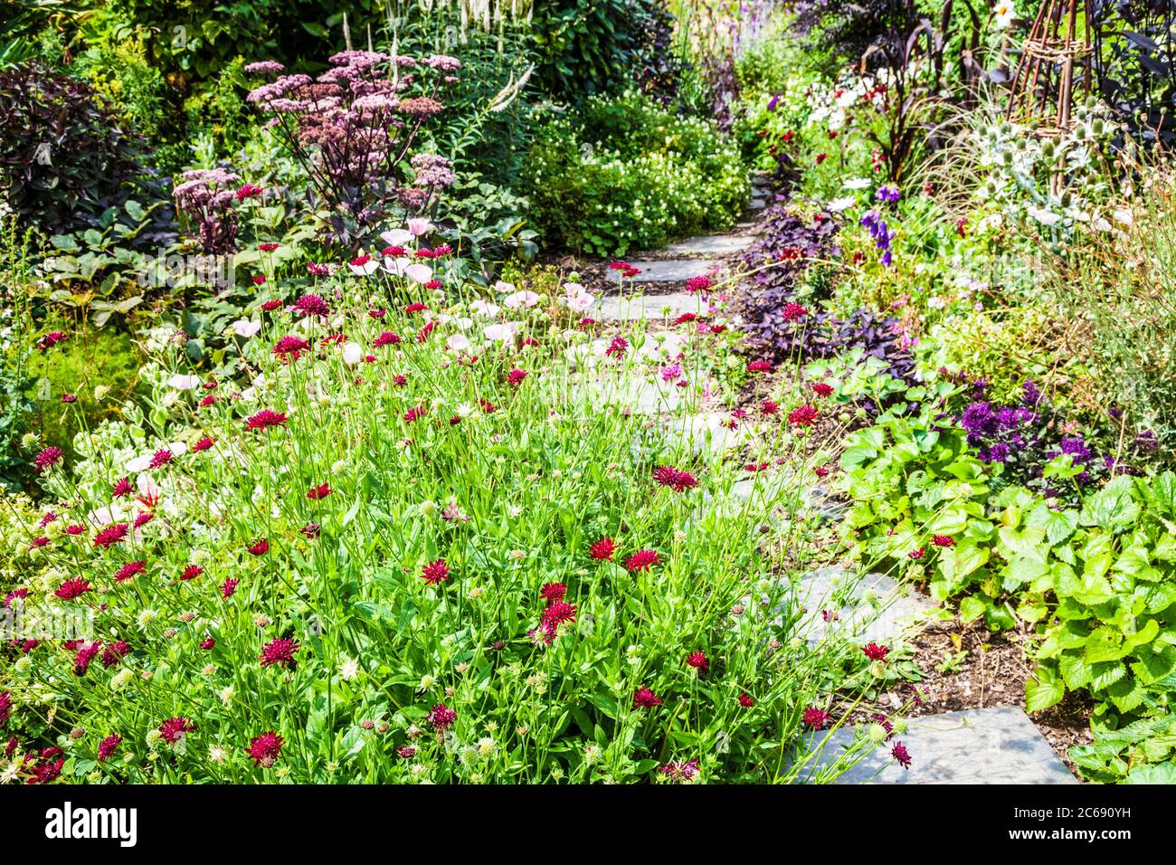 A garden path between shrub and herbaceous borders in an English country garden. Stock Photo
