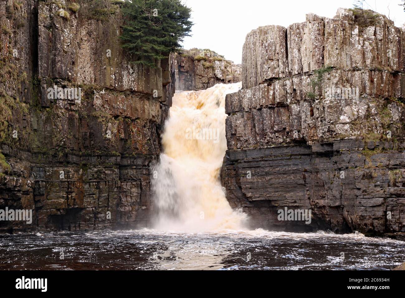 High Force waterfall, located in Middleton in Teesdale, Durham, England, in full flow after winter storms Stock Photo