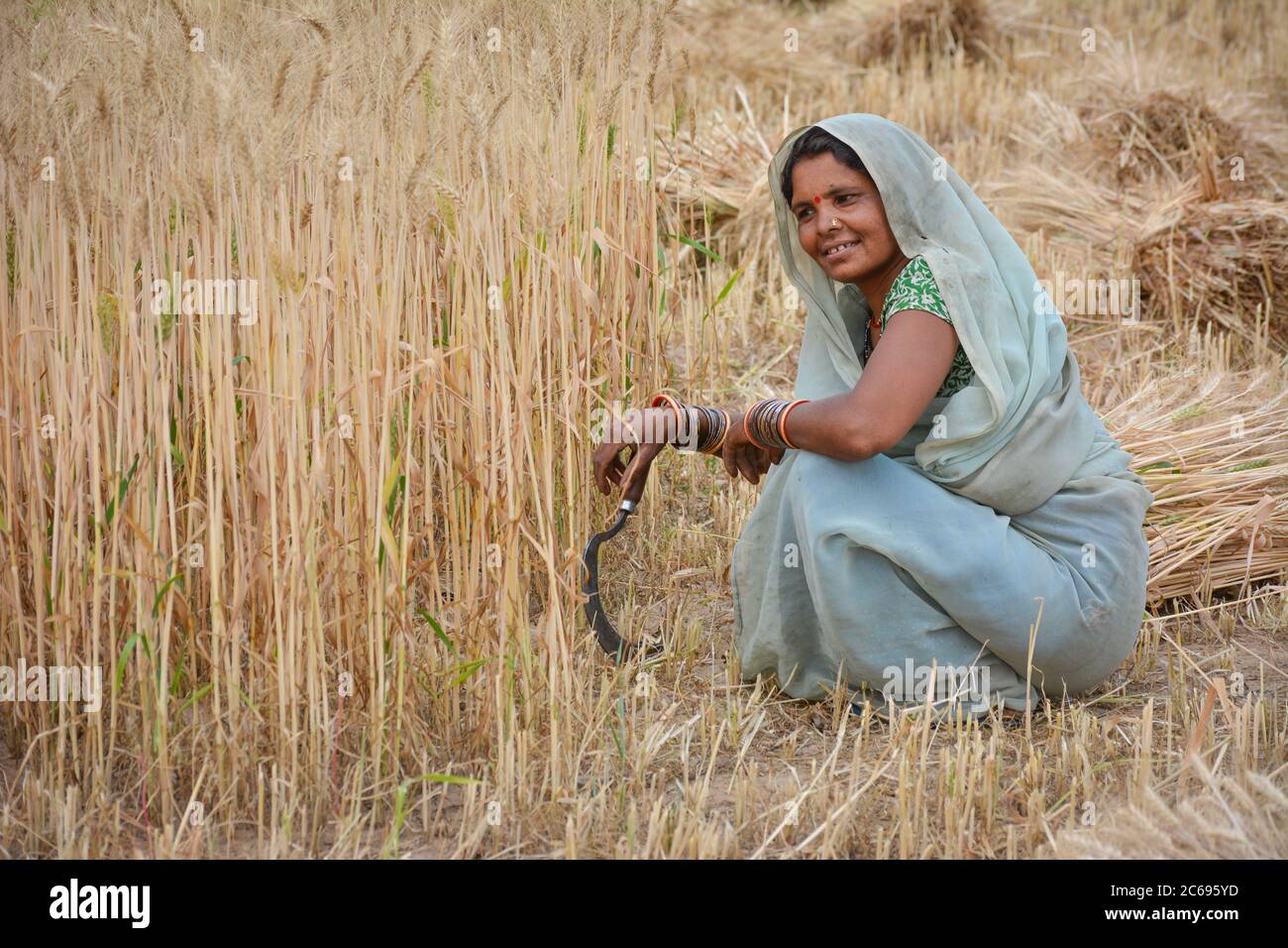 Cutting grass with sickle hi-res stock photography and images - Alamy