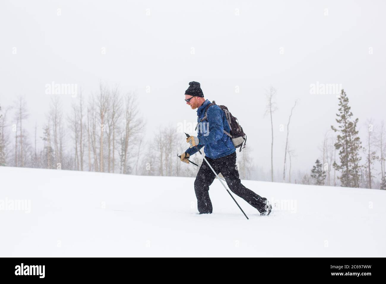 Walking with cross country hires stock photography and images Alamy