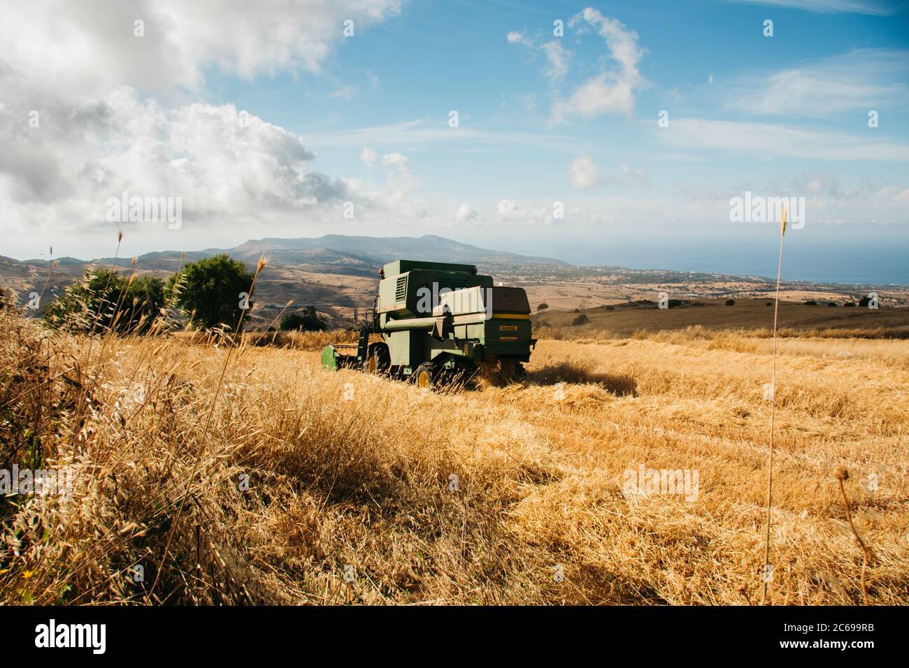 Harvest at Fasli, Paphos, Cyprus Stock Photo
