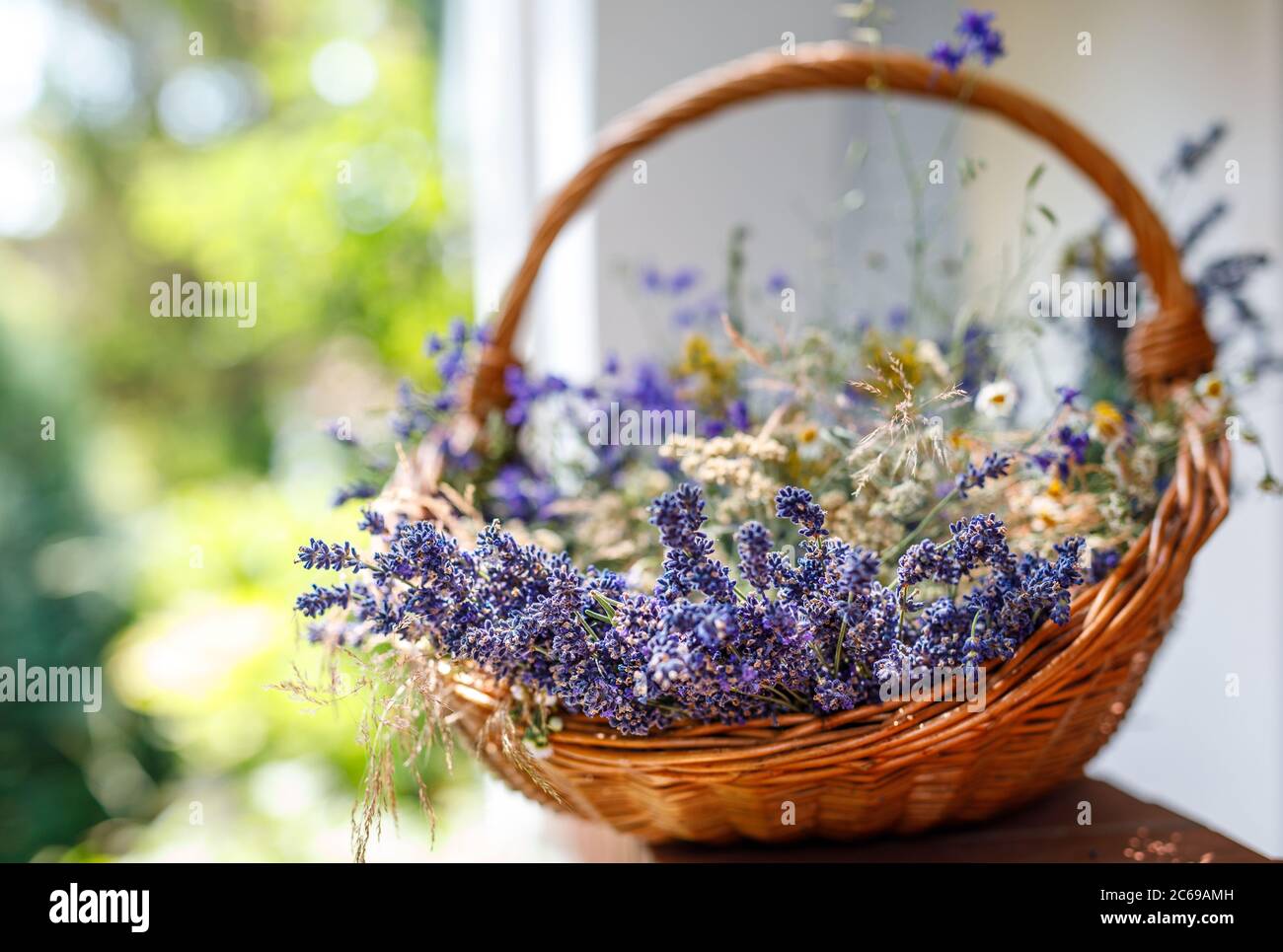 Rural idyll. Lavender flower bouquets in the basket with sunny blurred background. Stock Photo