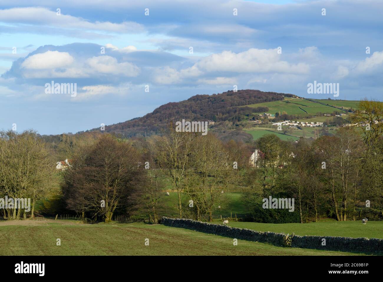 High prominent landmark hill (ridge), hillside woodland trees, farmland fields, sheep & blue sky - scenic view to Otley Chevin, Wharfedale, England UK Stock Photo