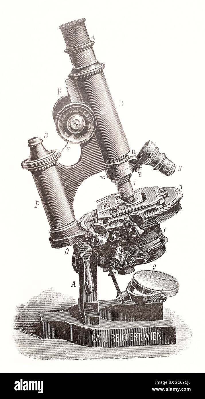 Microscope with an objective revolver and Abbe capacitor. Carl Reichert, Wien. Engraving of the 19th century. Stock Photo