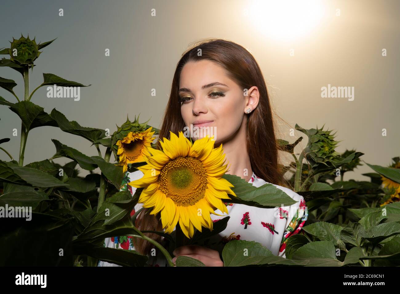 Beautiful young girl posing at sunset in a sunflower field Stock Photo ...