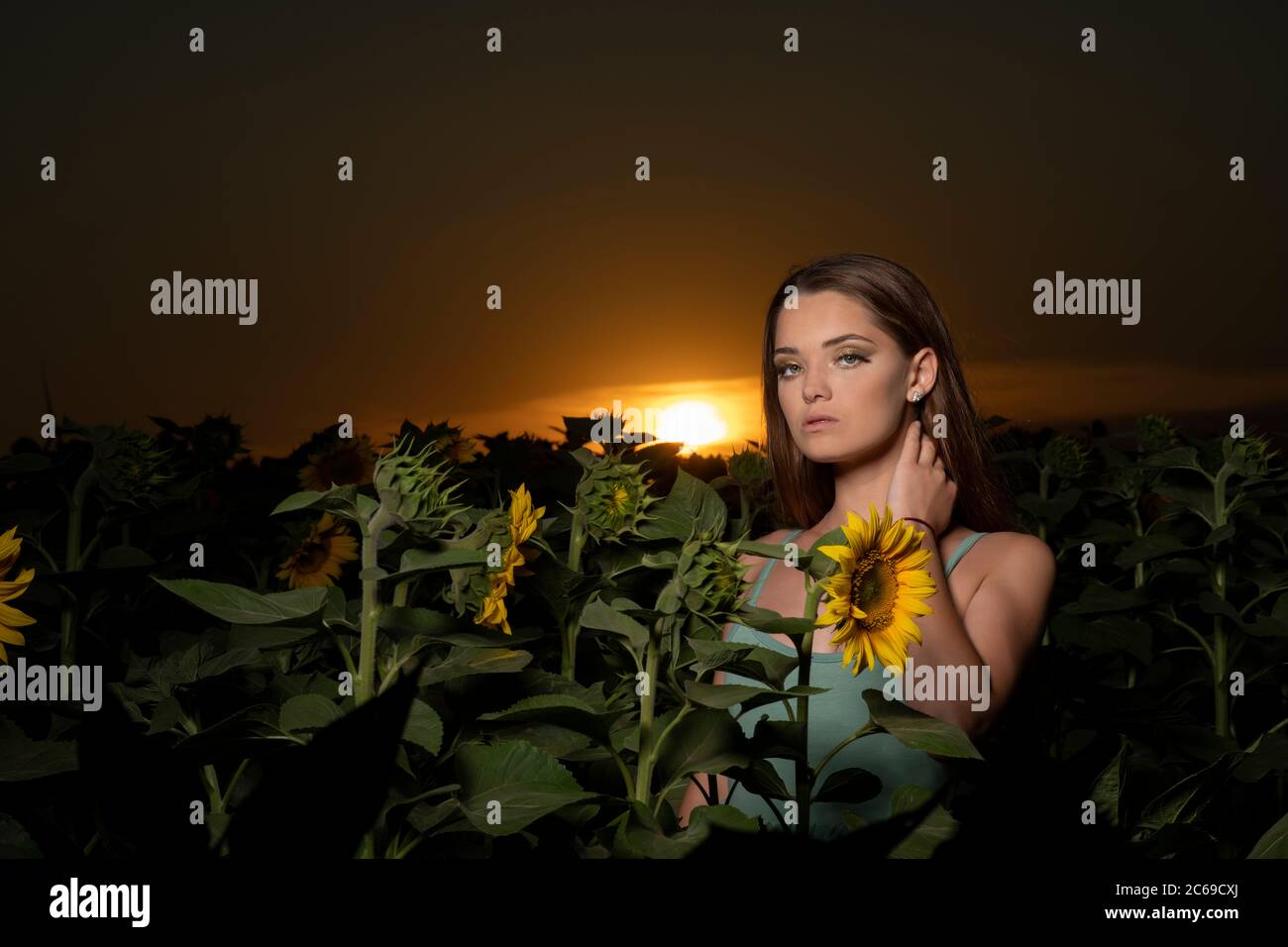Beautiful young girl posing at sunset in a sunflower field Stock Photo ...