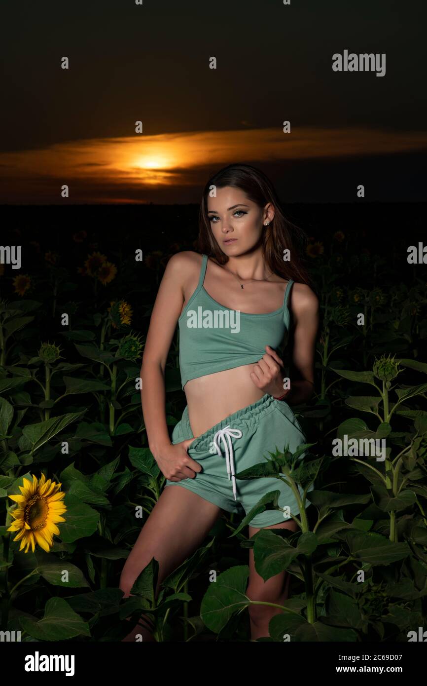 Beautiful young girl posing at sunset in a sunflower field Stock Photo ...