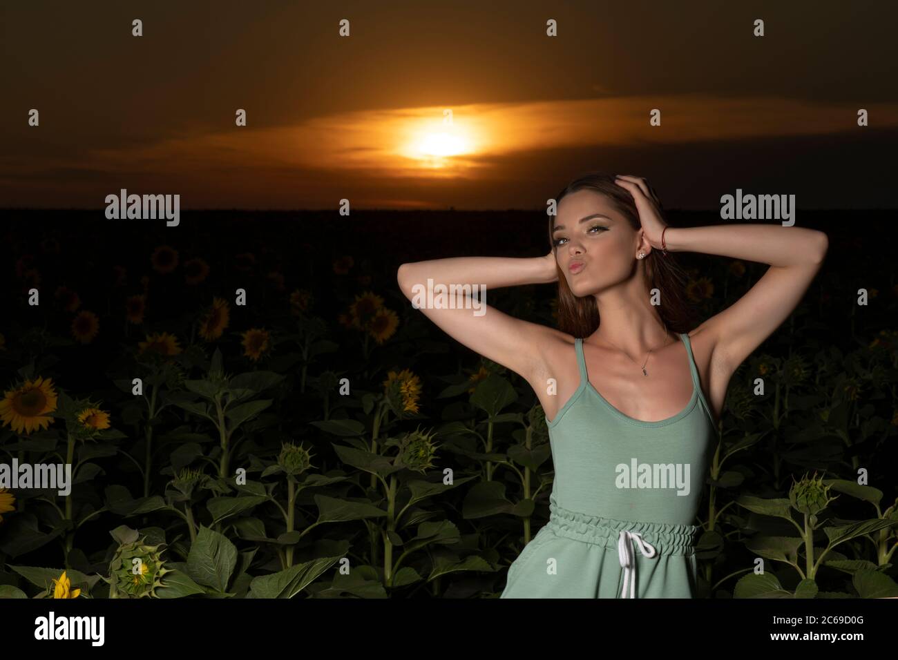 Beautiful young girl posing at sunset in a sunflower field Stock Photo ...