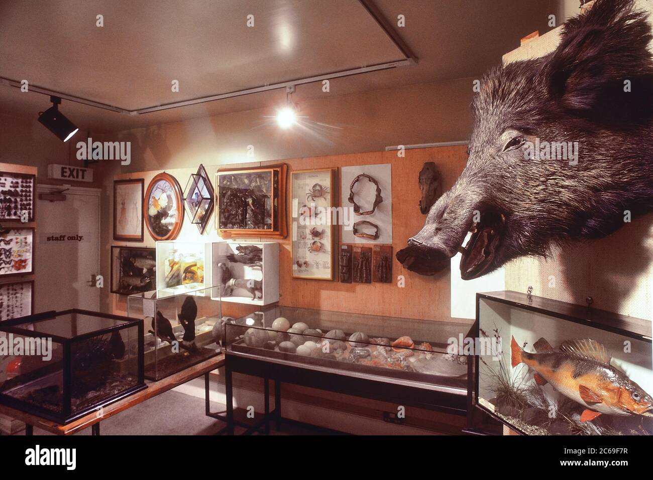 The former Cumberland House. Natural Science museum & aquarium. Now