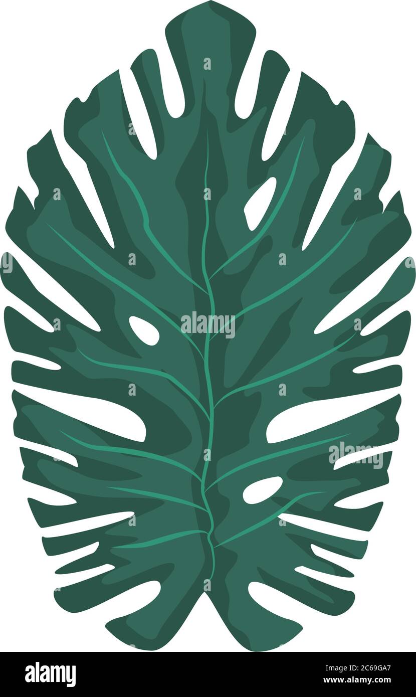 tropical leaf palm summer icon vector illustration design Stock Vector ...