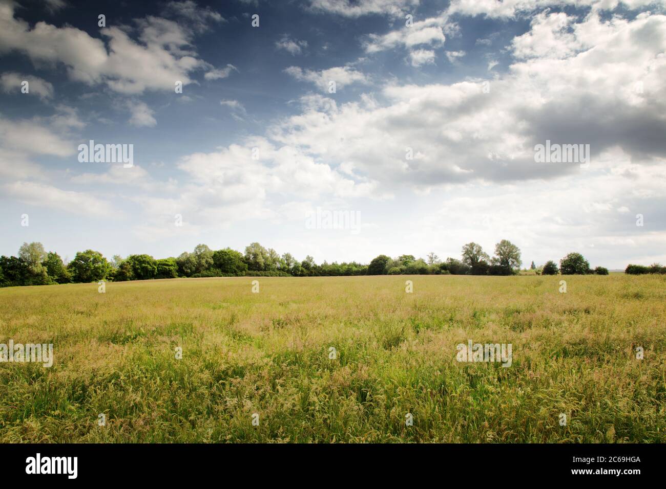 farmland in the essex countryside of england Stock Photo