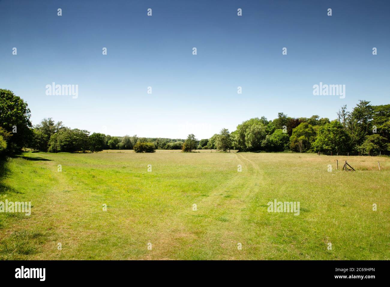 field in the essex countryside of england Stock Photo