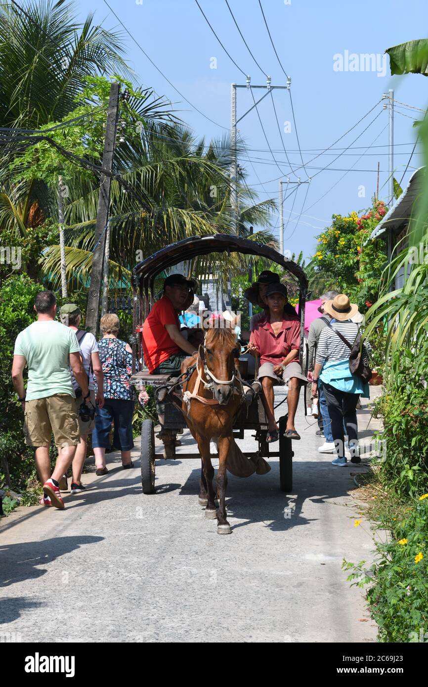 A horse and cart giving tourists rides on the narrow road of Unicorn Island (Cù lao Thới Sơn) My Tho, Vietnam. Stock Photo