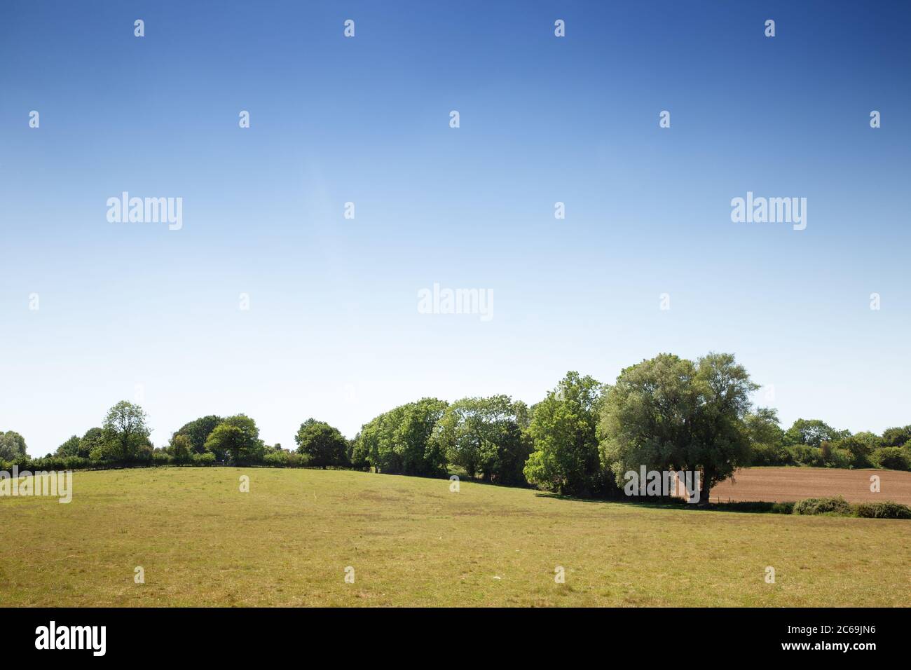 framland field in the essex countryside of england Stock Photo