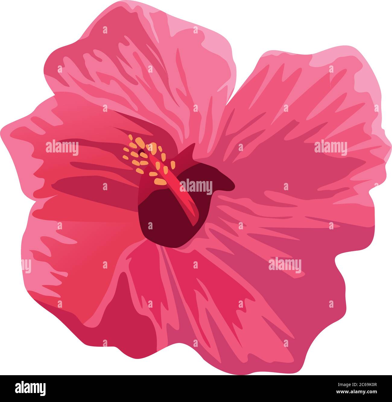 tropical and exotic pink flower icon vector illustration design Stock ...