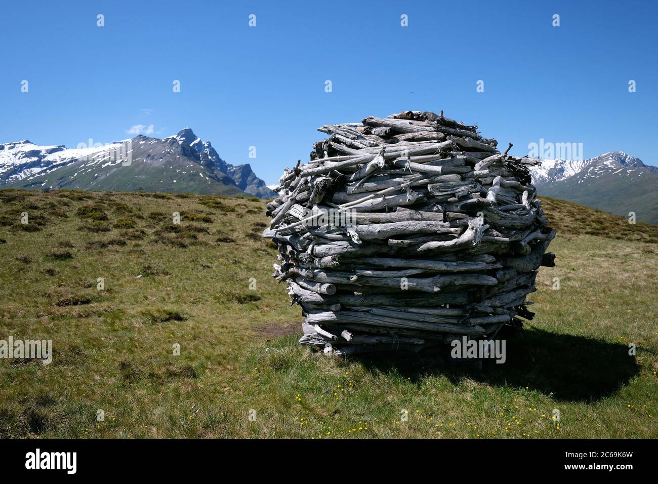 Alluvial wood ball on the Glaser ridge, Glaspass, Beverin Nature Park,  Canton Graubünden, Switzerland Stock Photo - Alamy