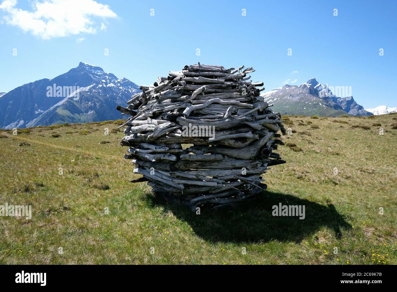 Alluvial wood ball on the Glaser ridge, Glaspass, Beverin Nature Park, Canton Graubünden, Switzerland. Stock Photo