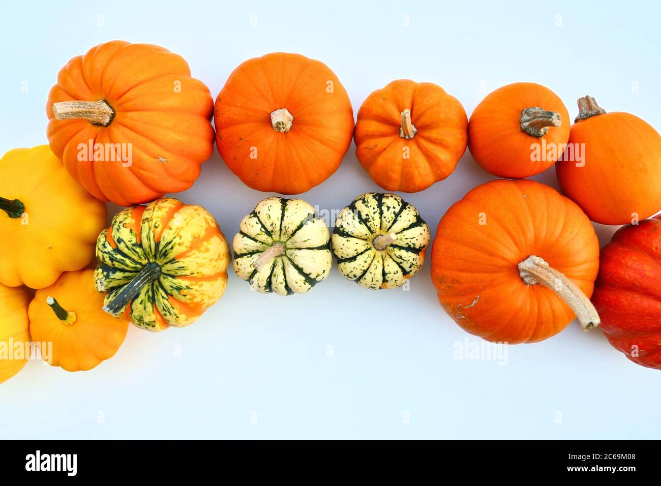 Pumpkins and squashes varieties food frame background Stock Photo Alamy