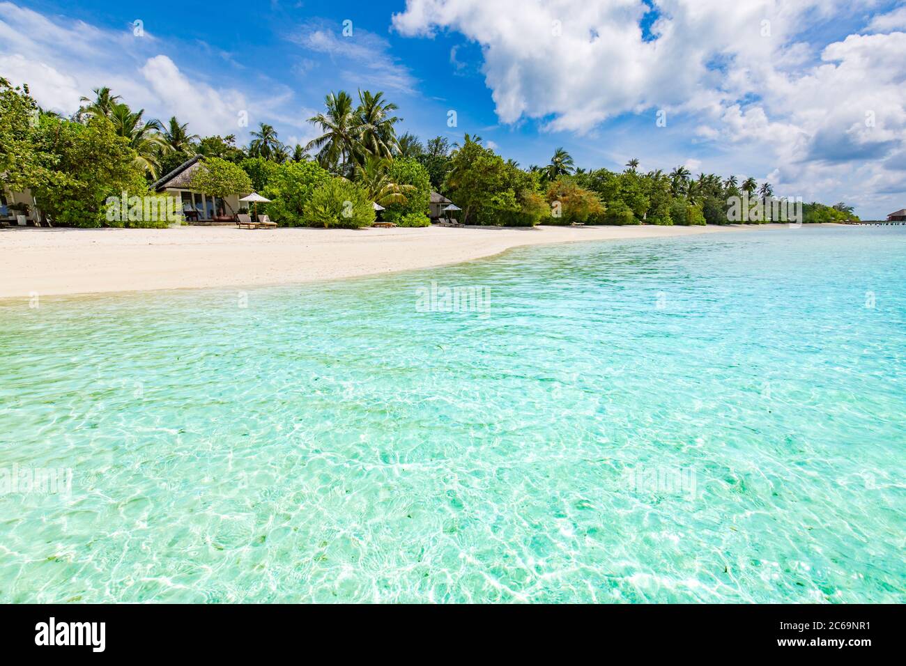 Beautiful palm tree on tropical island beach on background blue sky ...