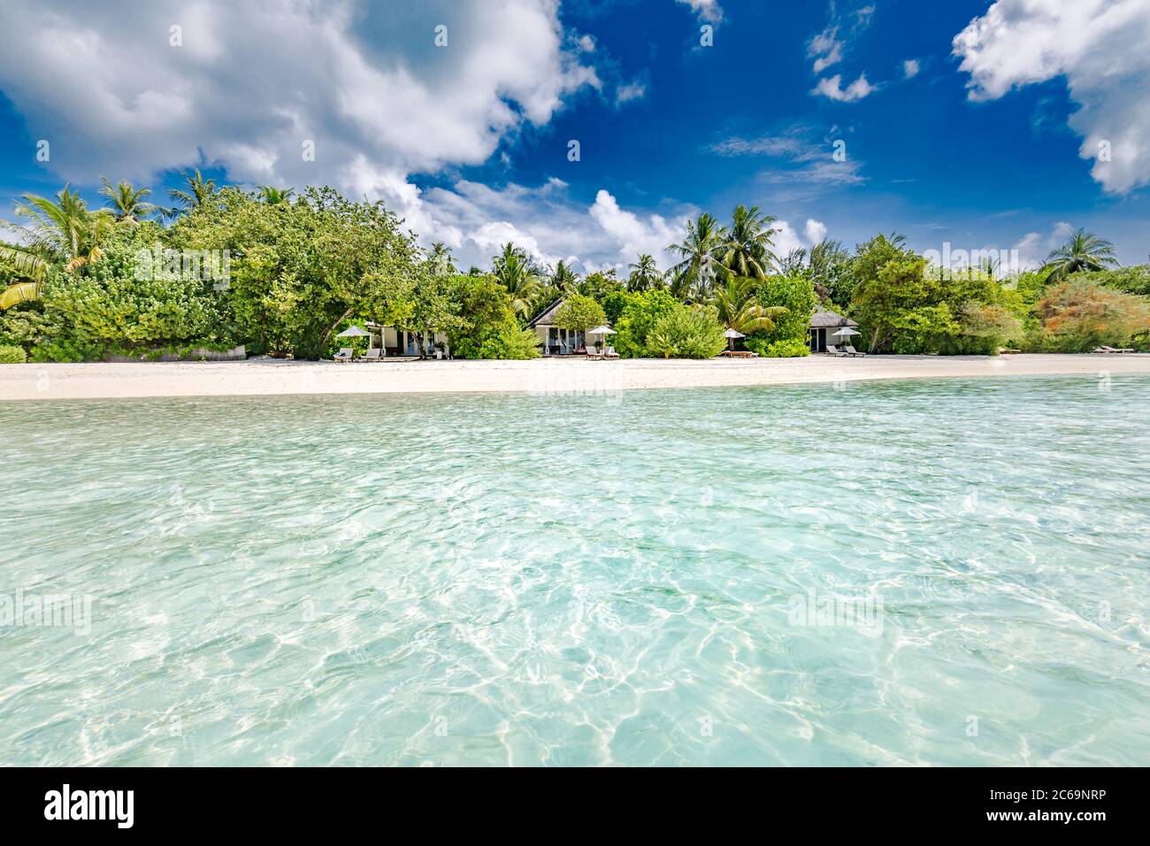 Beautiful palm tree on tropical island beach on background blue sky ...