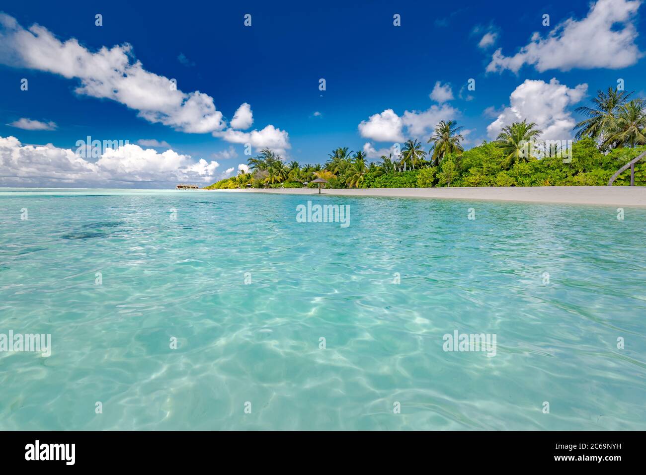 Beautiful palm tree on tropical island beach on background blue sky ...