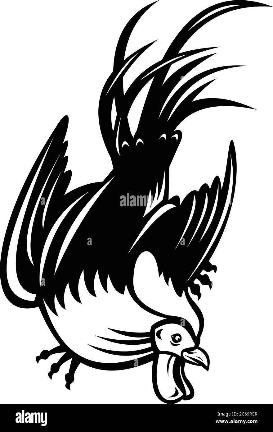 Retro style illustration of junglefowl, jungle fowl, cockerel or rooster in fighting stance viewed from low angle on isolated background in black and Stock Vector