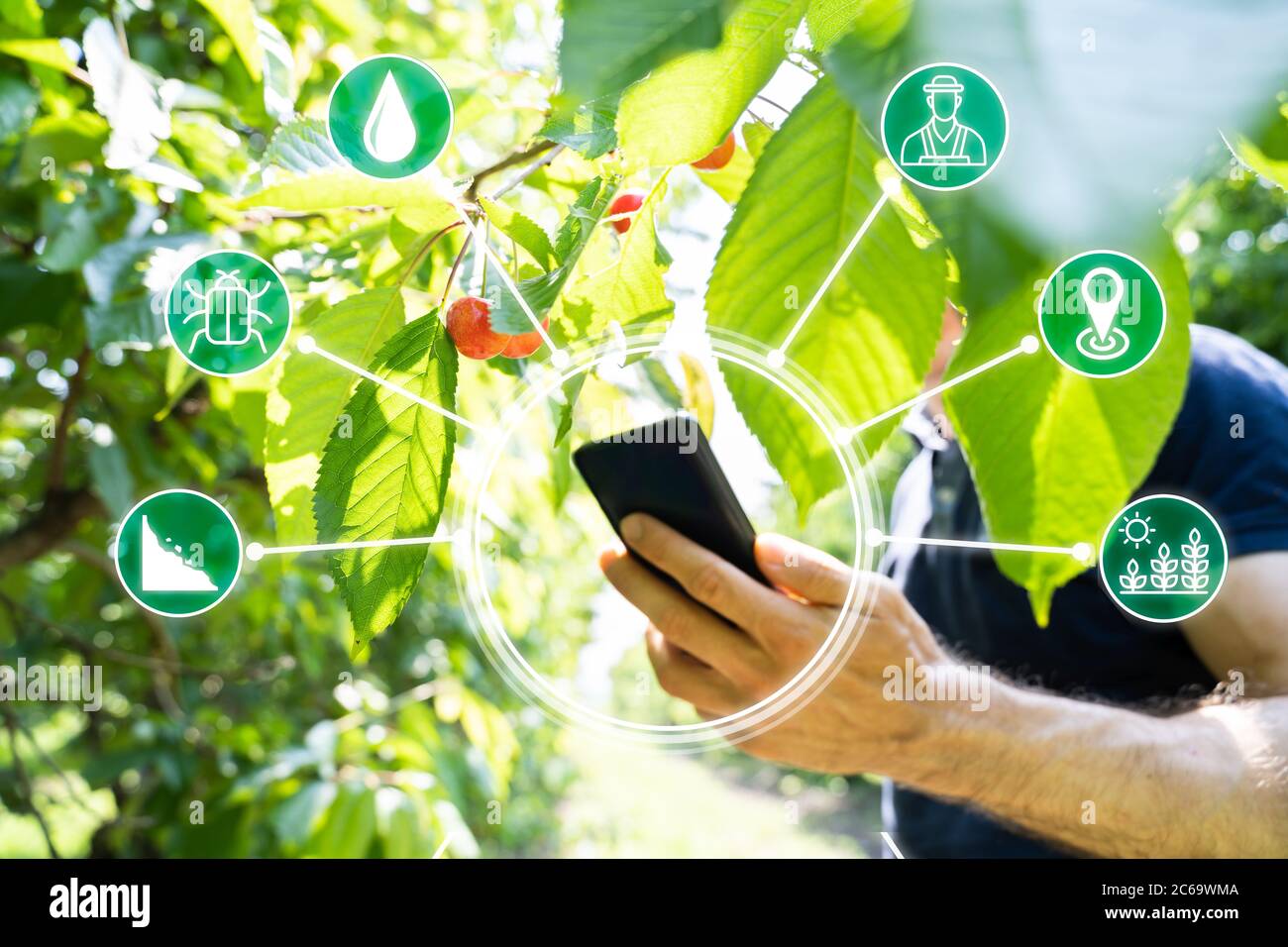 Smart Farming Digital Technology Agriculture App At Farm Stock Photo