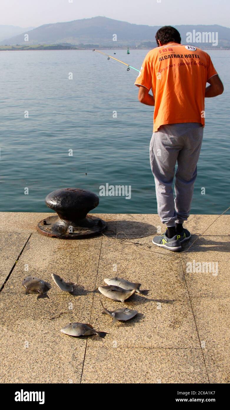 Early morning fishing for Grey triggerfish Balistes capriscus with rod and line in the bay of Santander Cantabria Spain Stock Photo