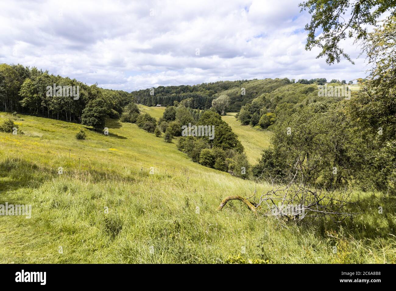 The valley of the River Windrush near the Cotswold village of Naunton, Gloucestershire UK Stock Photo