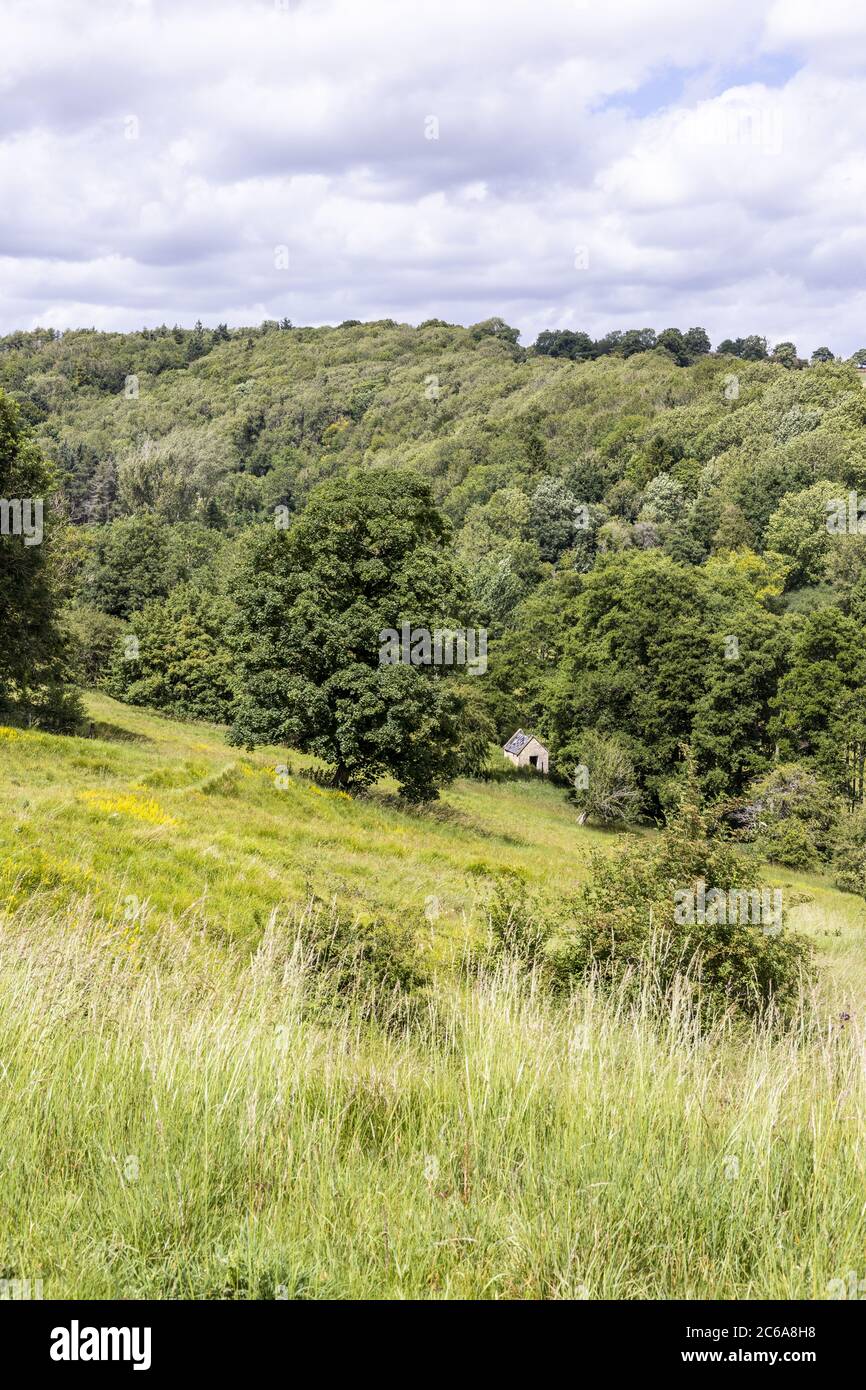 The valley of the River Windrush near the Cotswold village of Naunton, Gloucestershire UK Stock Photo