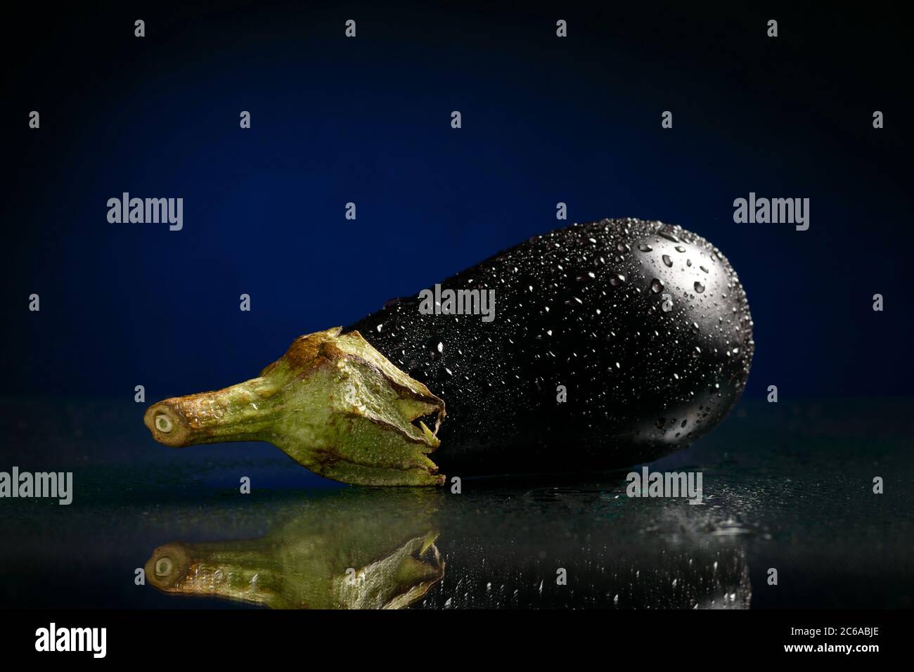 One wet isolated eggplant on a dark blue or black background with a reflection Stock Photo