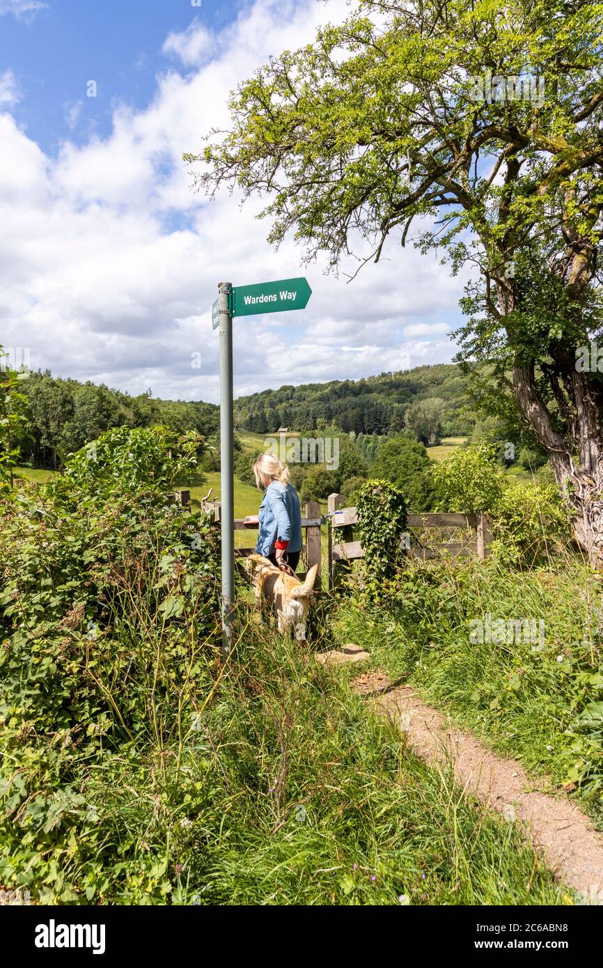 Lady taking dog for a walk on the lead on the Wardens Way in the valley of the River Windrush near the Cotswold village of Naunton, Gloucestershire UK Stock Photo