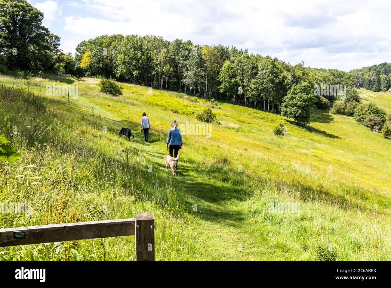 Two ladies taking their dogs for a walk along the Wardens Way in the valley of the River Windrush nr the Cotswold village of Naunton, Gloucestershire. Stock Photo