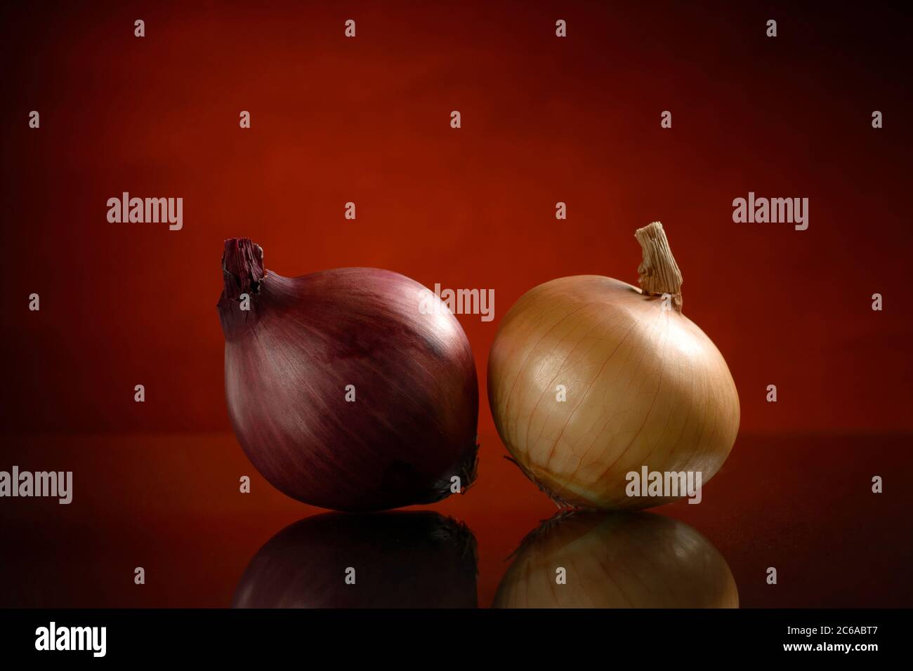 Two bulbs of red and brown onions isolated on a dark orange or black background with a reflection, shot in the Studio Stock Photo