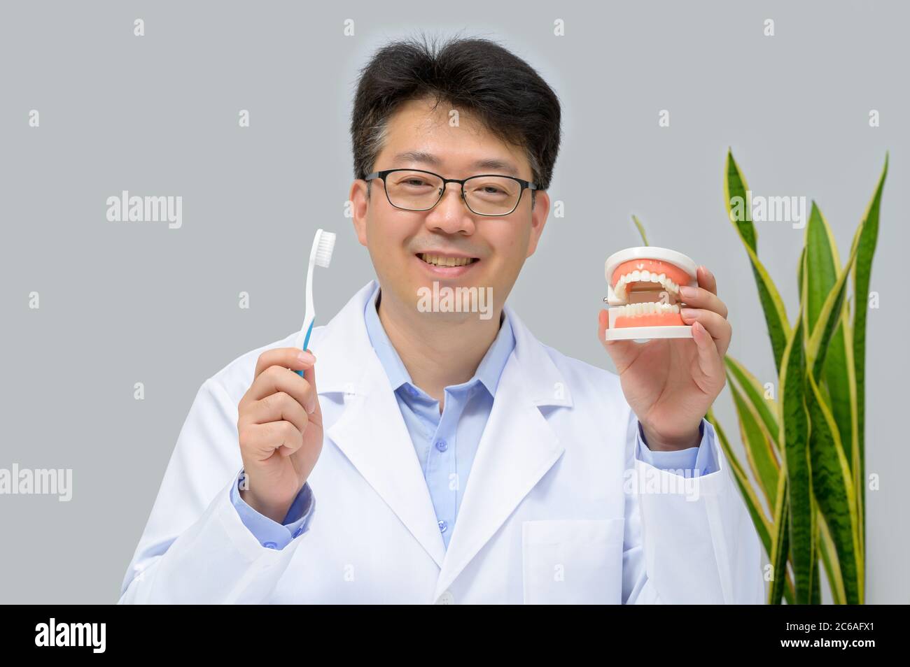 A middle-aged Asian dentist holding dental models and toothbrushes in his hand. Stock Photo