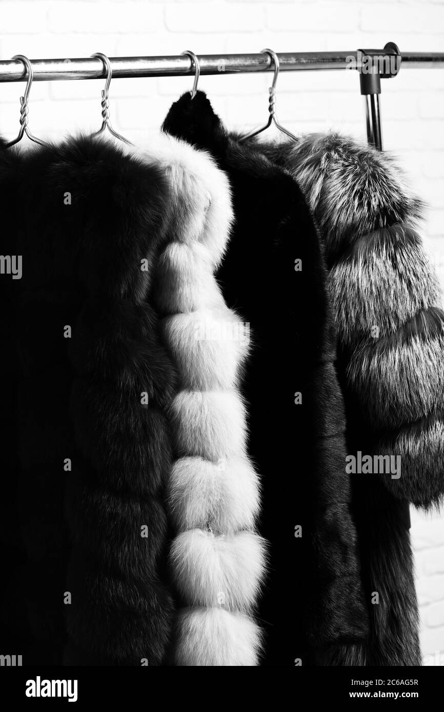 fashionable luxurious waist coats of fur hanging on rack on golden hangers on brick wall studio background Stock Photo