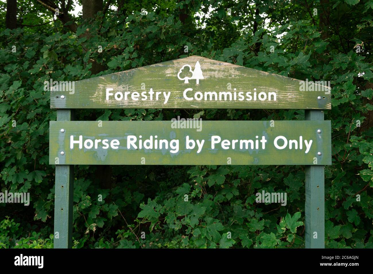 Forestry commission Horse riding permit sign ,Blidworth woods