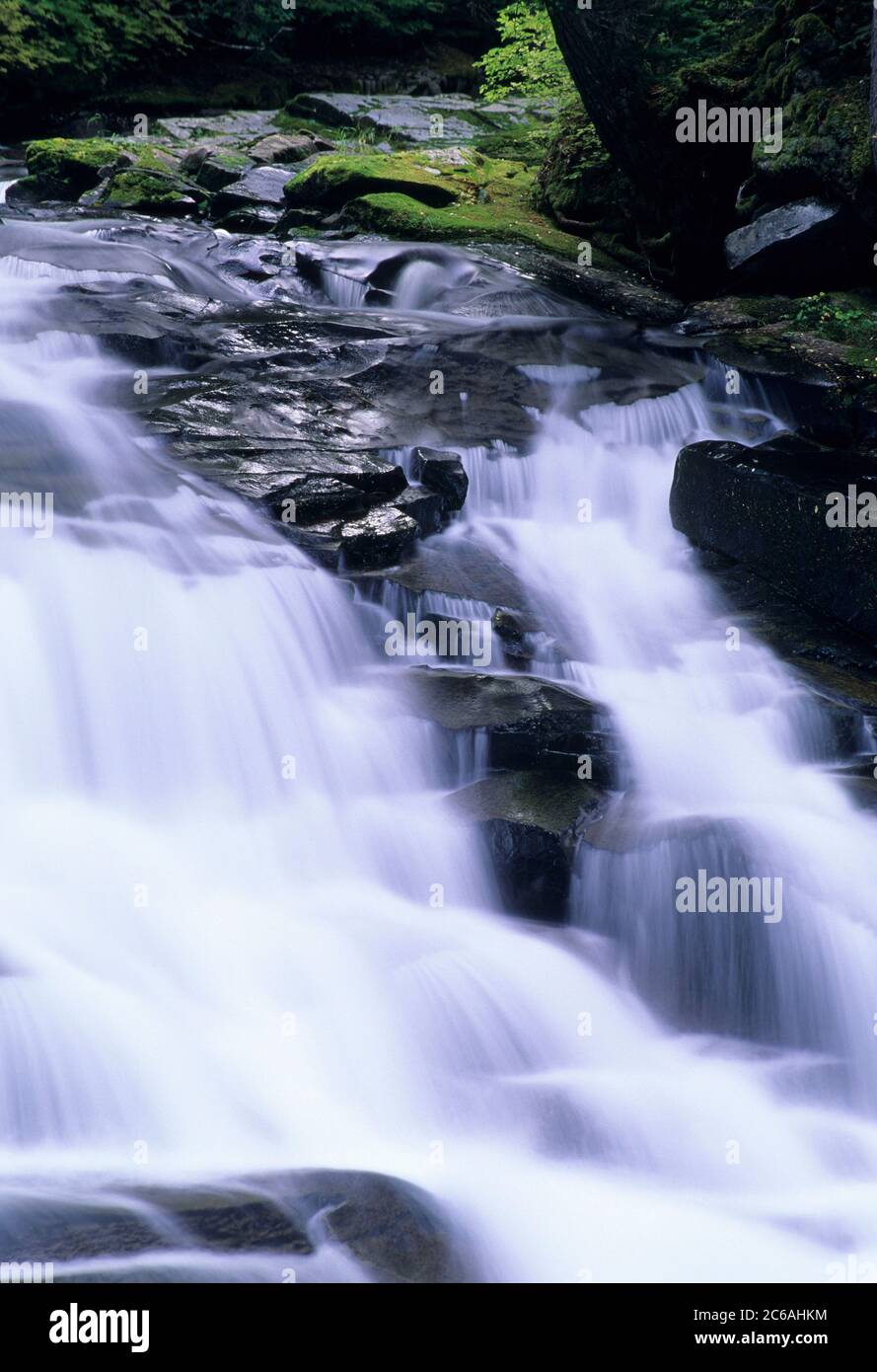 Madcap Falls on Wonderland Trail, Mt Rainier National Park, Washington Stock Photo