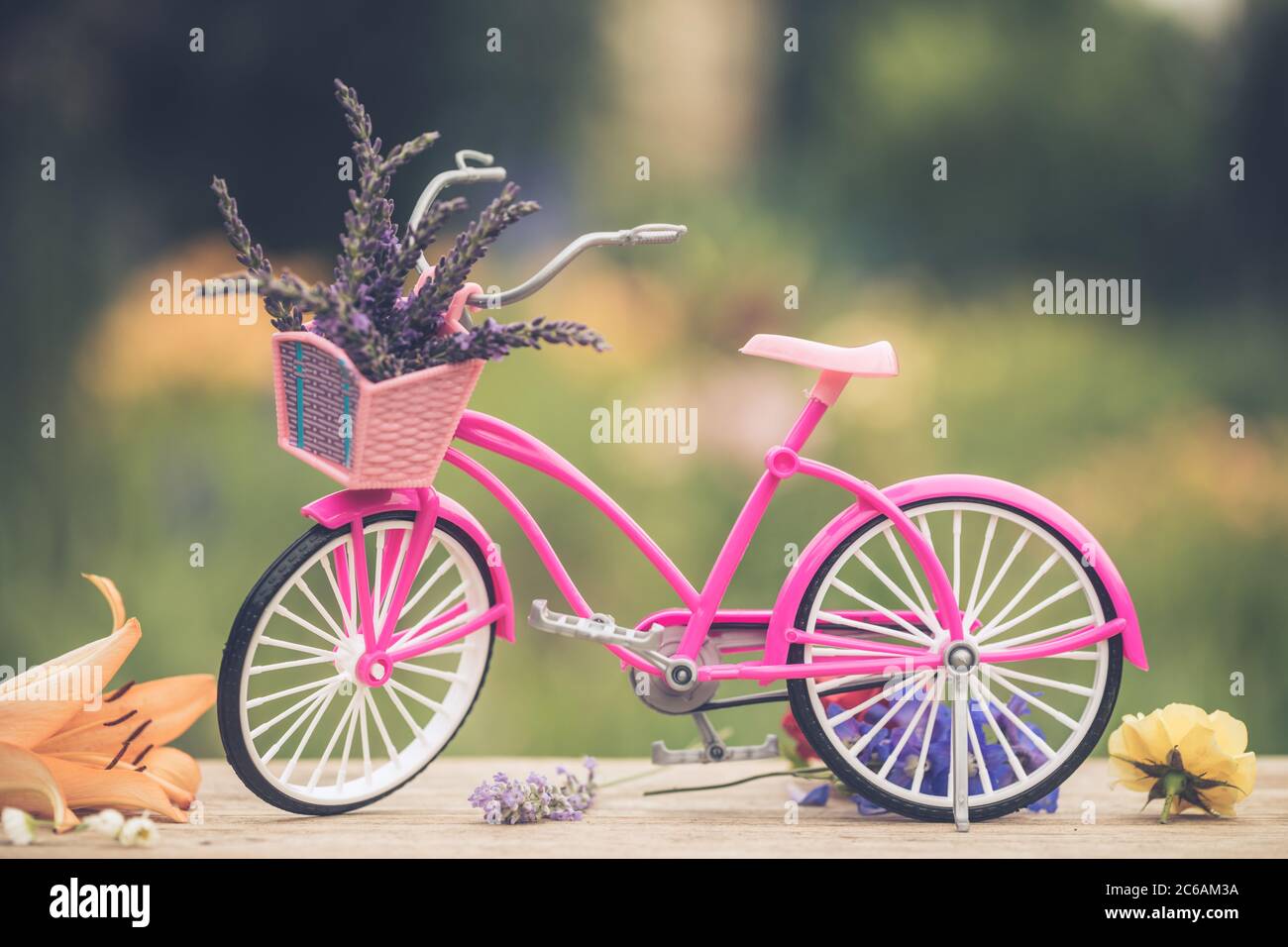 purple vintage bike
