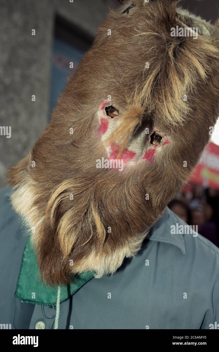 During Lent, a Yaqui Indian dressed as a Fariseo wears a mask made from brown fur. Stock Photo