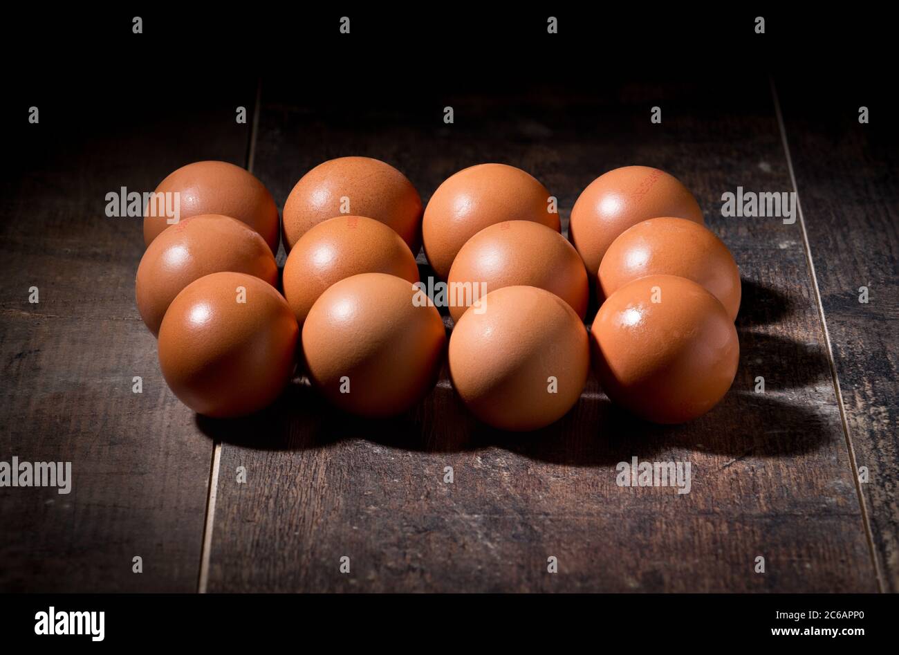 Bird eggs are a common food in human nutrition. They are presented