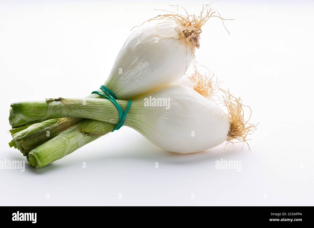 Allium fistulosum L., commonly called scallion (in Spain), green onion (in Argentina and Uruguay), green onion (in Paraguay), long onion (in Ecuador), Stock Photo